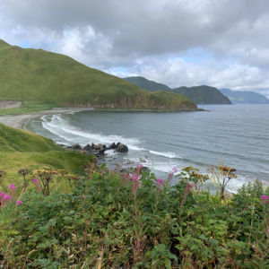 Meet your Posher, Katherine